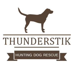 Thunderstik Rescue