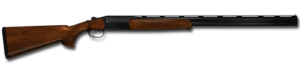 shotgun for hunting
